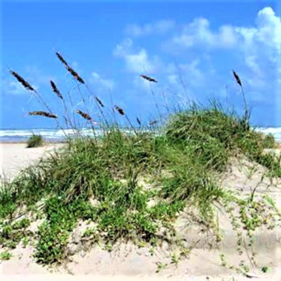 Village By The Gulf Gulf Shores Bagian luar foto
